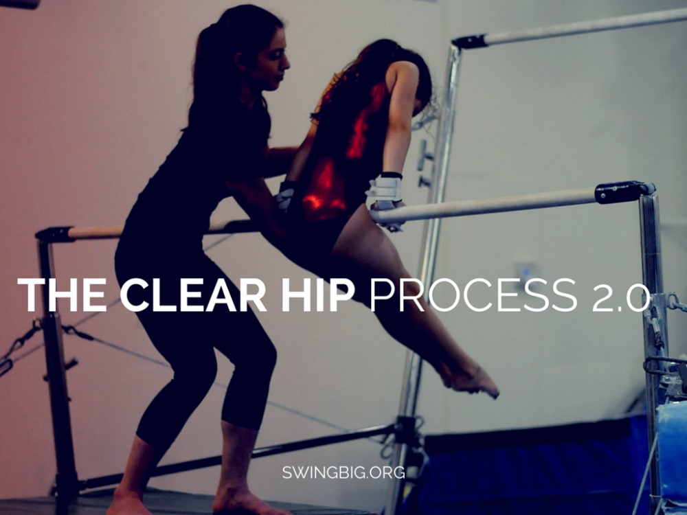 THE CLEAR HIP PROCESS 2.0
