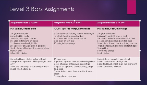 Level 3 Bars Assignments